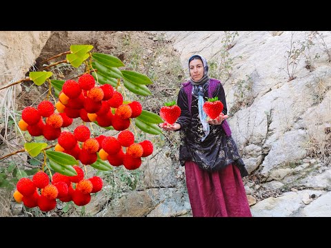 Khadija's journey through dangerous high mountains and finding strawberries