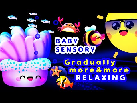 Baby Sensory - Wind down and relax 💤😴 Infant visual stimulation 🐠🪸 Summer Dreams
