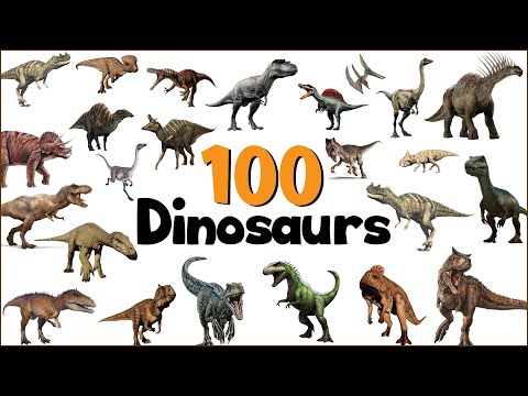 100 Dinosaur names in english with pictures |  Learn Dinosaur Names | Dinosaurs Vocabulary