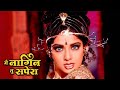 Main Nagin Tu Sapera Sridevi Nagin Dance Song 1 MegaBollywood Quiz123