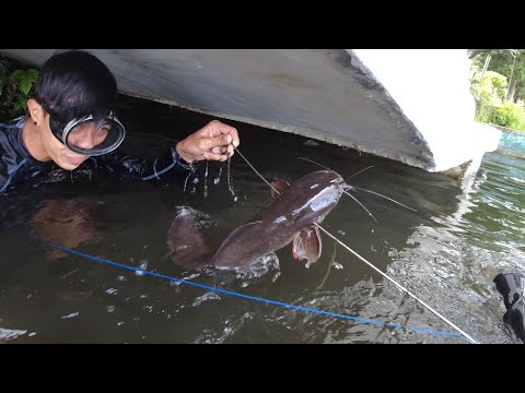 SE02EP99 - Eto na TALAGA! SUPER JUMBO HITO sa ILALIM ng TULAY ng SAMPALOK Lake San Pablo City | Lag