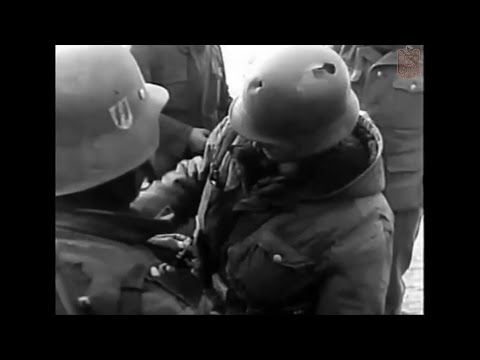 Die Wehrmacht 1944 Nr 1 Pt 5 - 20th Estonian SS Volunteer Division - Franz Augsberger - Himmler