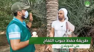 بالفيديو تعرف على طريقة حفظ حبوب لقاح النخيل من موسم لموسم علي الخويلدي