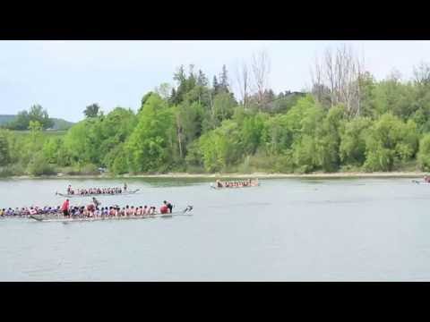 York University Dragon Boat Club - Milton 2016 2000m Final