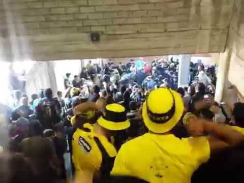 "Barra Amsterdam 2015 - PEÑAROL 2 vs Fénix 0" Barra: Barra Amsterdam &bull; Club: Peñarol