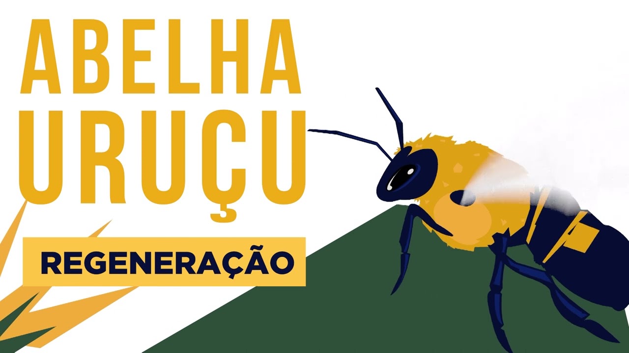Cenários Futuros para o Estado do Rio de Janeiro em 2030