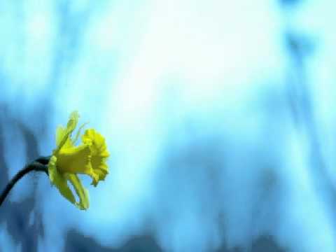 dj whirl & mayer - love (airplay mix).wmv