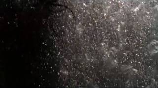 Grimskunk, «Rooftop killer»