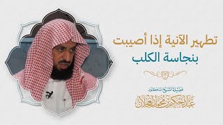 تطهير الآنية إذا أصيبت بنجاسة الكلب image