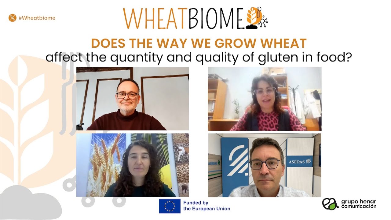 WHEATBIOME webinar | Does the way we grow wheat affect the quantity and quality of gluten in food?