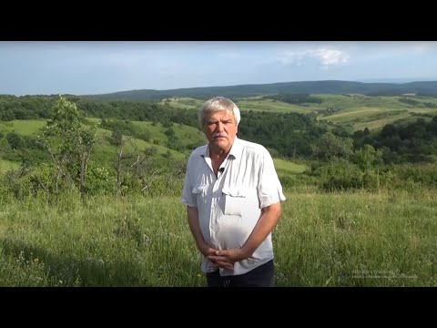 Természetes gyümölcsészet 2. rész - Natural orchards Part 2