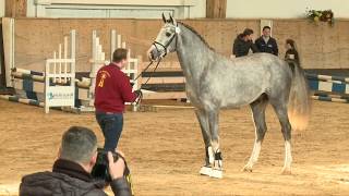 Video di Coco C`est la Vie