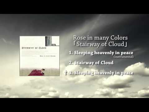 Rose in many Colors 「Stairway of Cloud」