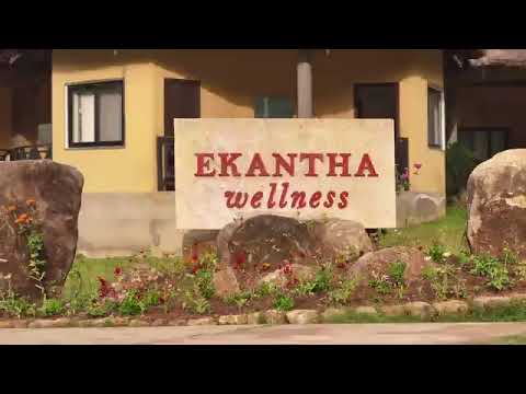 3D Tour Of Elephantine Tales