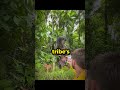 He Encountered a Cannibal Tribe in the Jungle