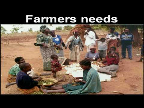 2030- SDG 1- No Poverty- Ted talks