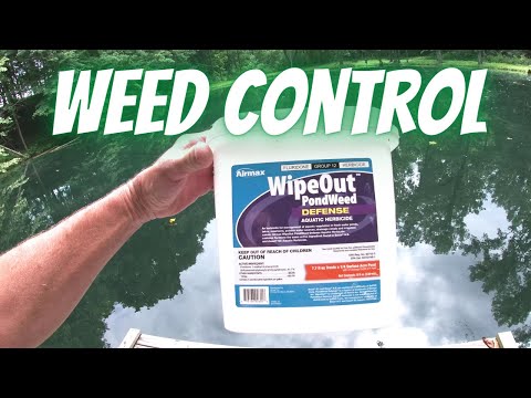 Controlling Pond Weeds
