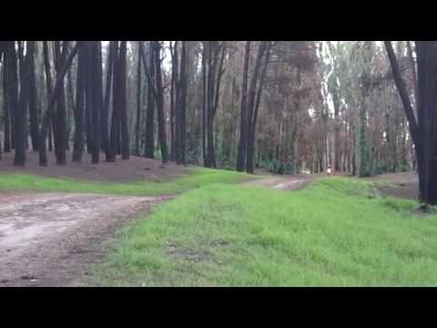 probando la WR 450