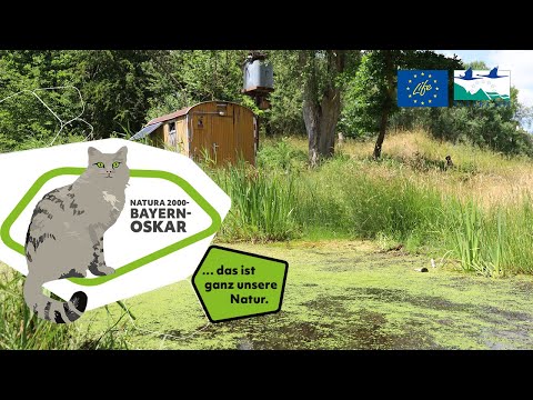 Natura 2000-BayernOskar - Many years of commitment to the Heldenstein gravel pit near Mühldorf
