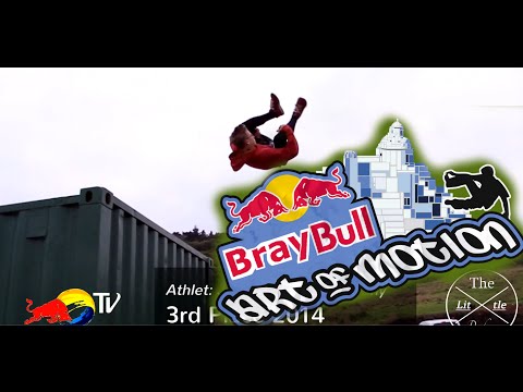 BRAY BULL ART of MOTION  2015