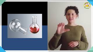 Matraz de fondo redondo (LSE)