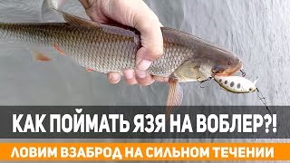 Ссылка