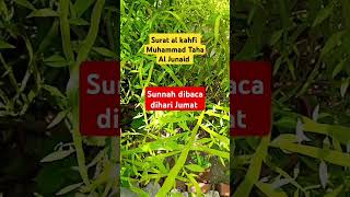 Download lagu surat Al Kahfi Muhammad Taha Al Junaid #alkahfi #sunah #harijumat #shorts mp3