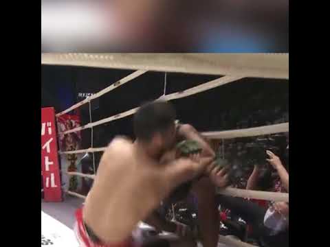 朝倉未来を倒したクレベルの絞め技　ダースチョークとは　#shorts