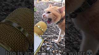 Miniature vidéo