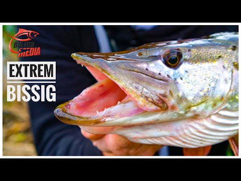 Gibt es MONSTER in kleinen Gräben? - Angeln mit Christian