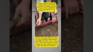 Download lagu Ya Allah protect us from the people who are zd0l1m😱😱 #fypviral #trendingshorts mp3