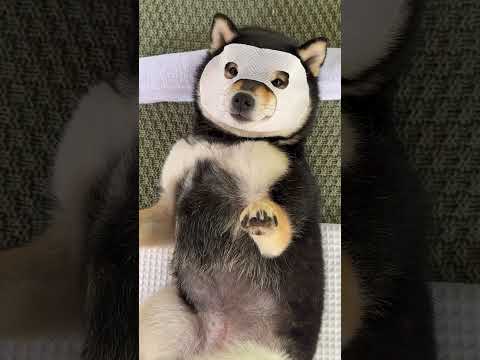 Blossom in Nature Manyus Spring Outdoor SPA Retreat