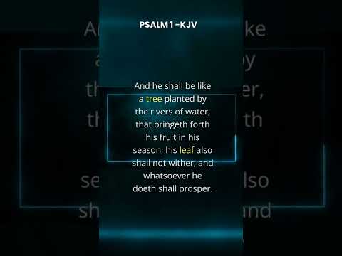 Witness21  2022 11 21