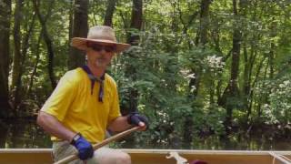 preview picture of video 'Canoeing the Pocomoke River in Snow Hill'