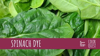 HOW TO MAKE NATURAL DYE WITH SPINACH | ORGANIC COLOR | GREEN