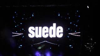 suede - untitled