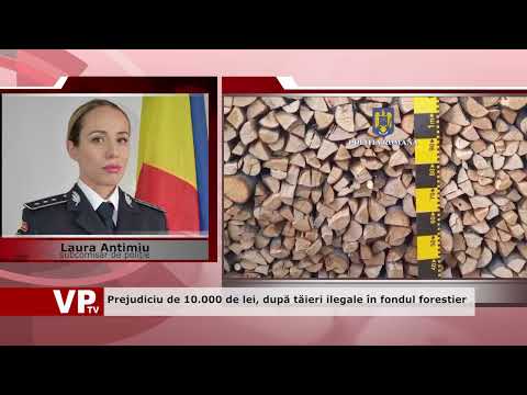 Prejudiciu de 10.000 de lei, după tăieri ilegale în fondul forestier