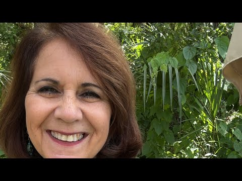 Alba Weinman - Synchronicities (Voice of Bigfoot by Cheri Zaida)