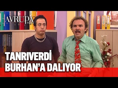 Burhan'ı Tokat'a götürüp getiren yumruk - Avrupa Yakası