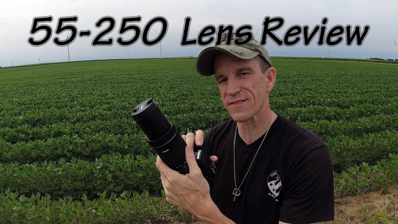 Canon 55-250 Lens - Field Test and Review (w/ Canon 90D)
