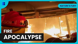 Black Saturday Marysville Firestorm Apocalypse | Nature's Fury