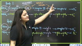 ETC in 10 minutes | 8 marks guaranteed | NEET 2024 | Ambika