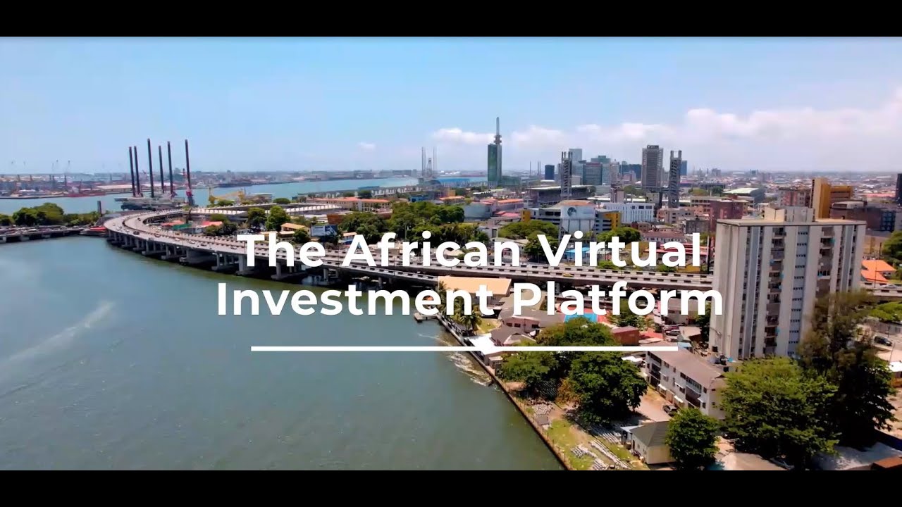 What is the African Virtual Investment Platform?
