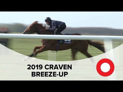 2019 Tattersalls Craven Breeze Up Sale