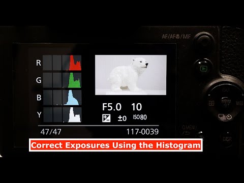 Getting the Correct Exposure on Panasonic Lumix Bridge Cameras