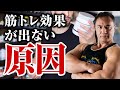 【筋トレ】筋肉を発達させるために忘れてはいけない!ビタミンの本当の効果とは【サプリメント】