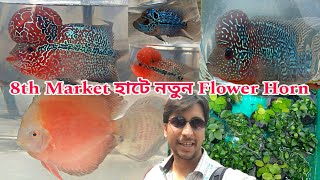 8th March হাটে কি নতুন এলো | Serampore Pet Haat | Aquarium Fish Pet Market | Fish Pet Market 