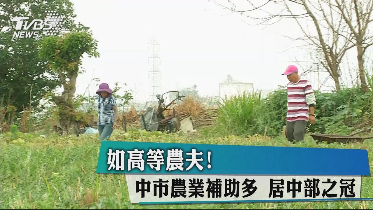 如高等農夫!中市農業補助多 居中部之冠