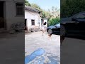 Funny Chicken Runs Behind The Girl Video Peek Shorts