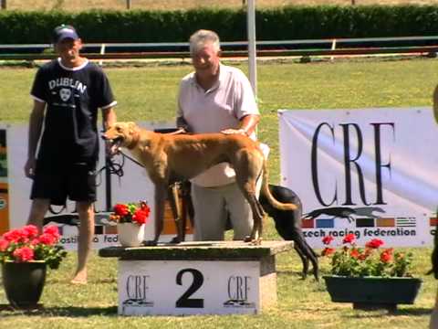 Federation Sprint & Trophy - finals 8. 7. 2012 race 9